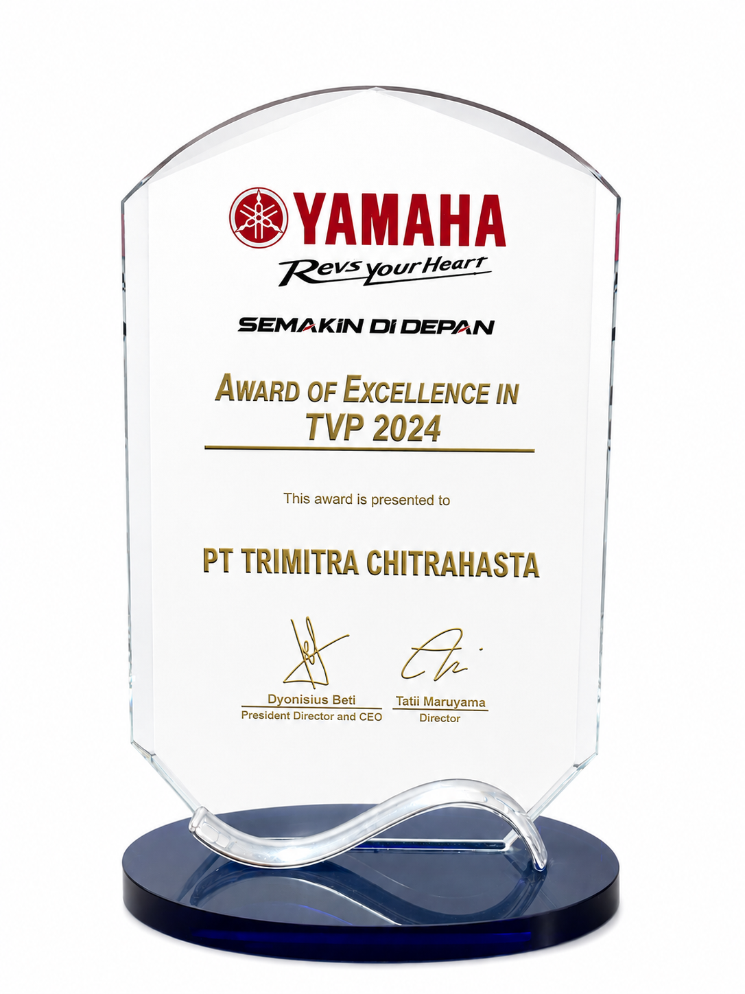 EXCELLENCE IN TVP 2024